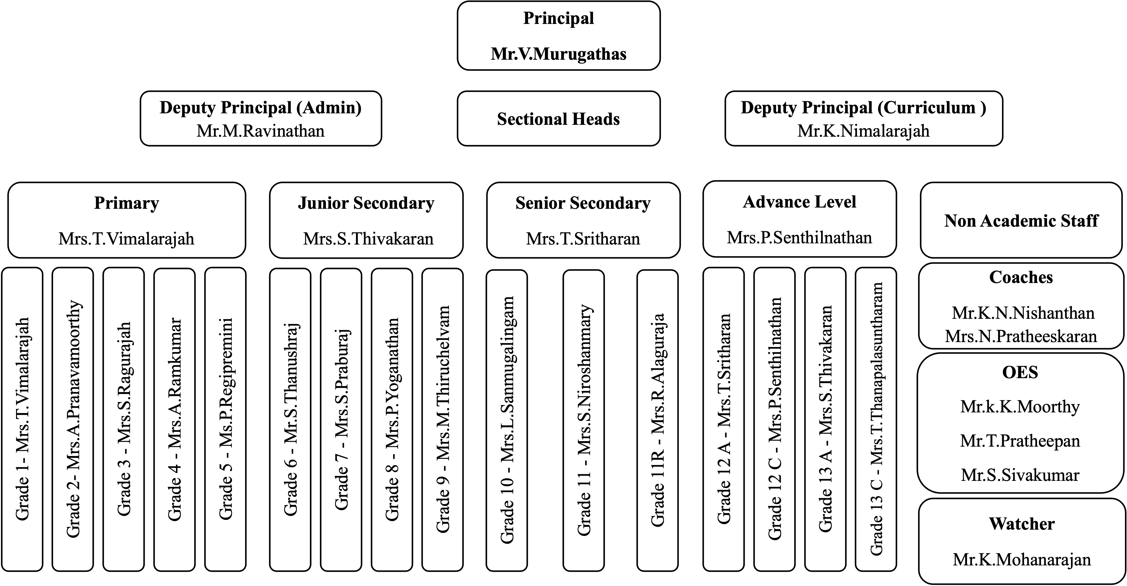 Management Structure